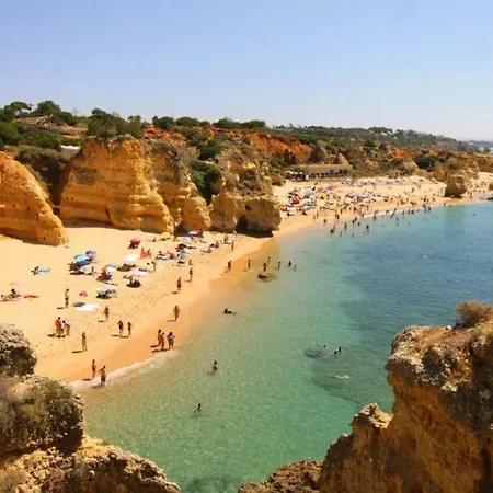 Moradia Jacaranda Σπίτι διακοπών